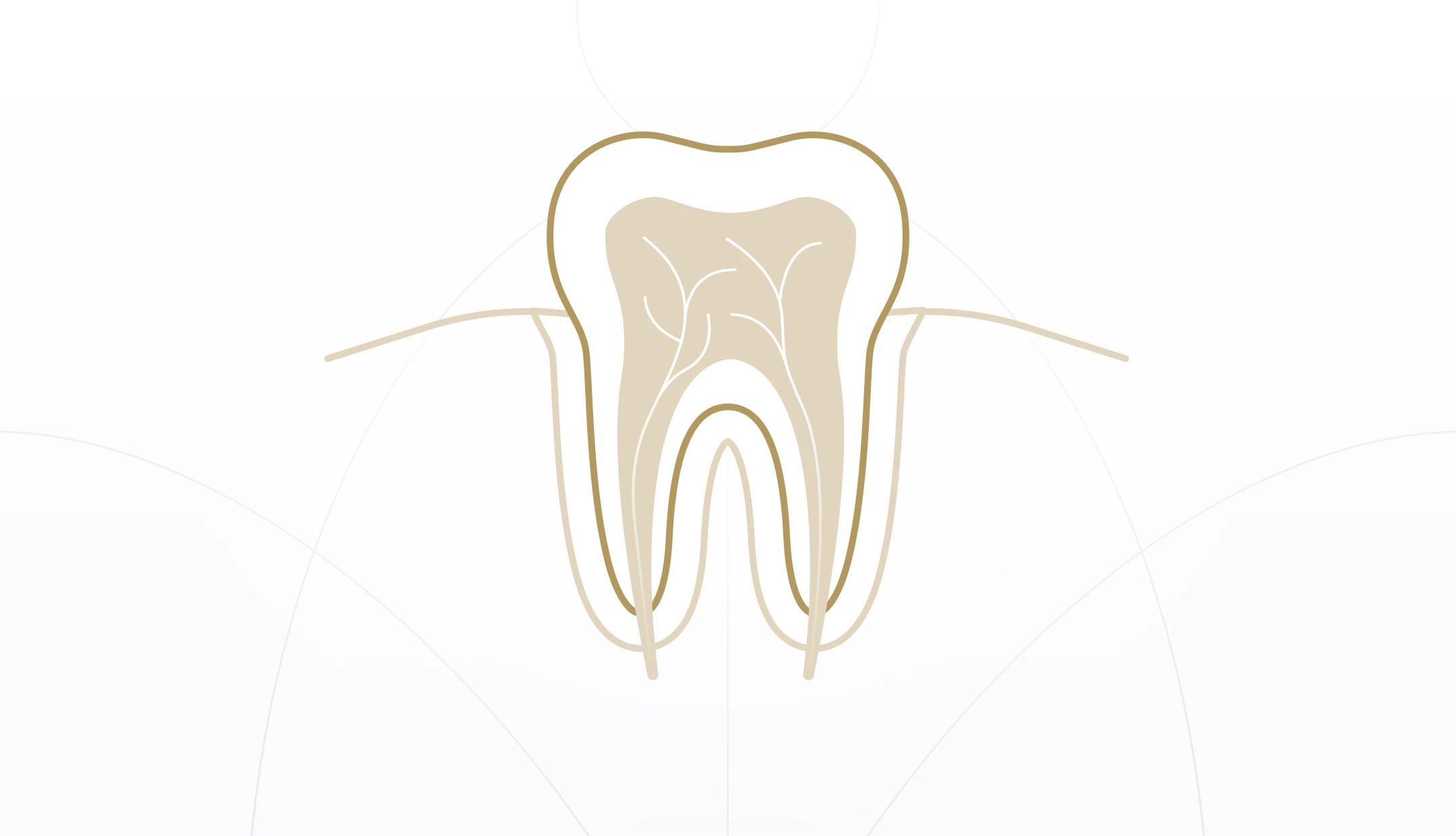 Koreňové kanáliky: skrytá, ale významná časť Vašich zubov